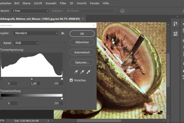 Dizajn Grafik dhe Multimedia